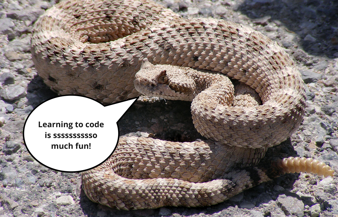 Howard the snake, uses pit organs to detect infrared light