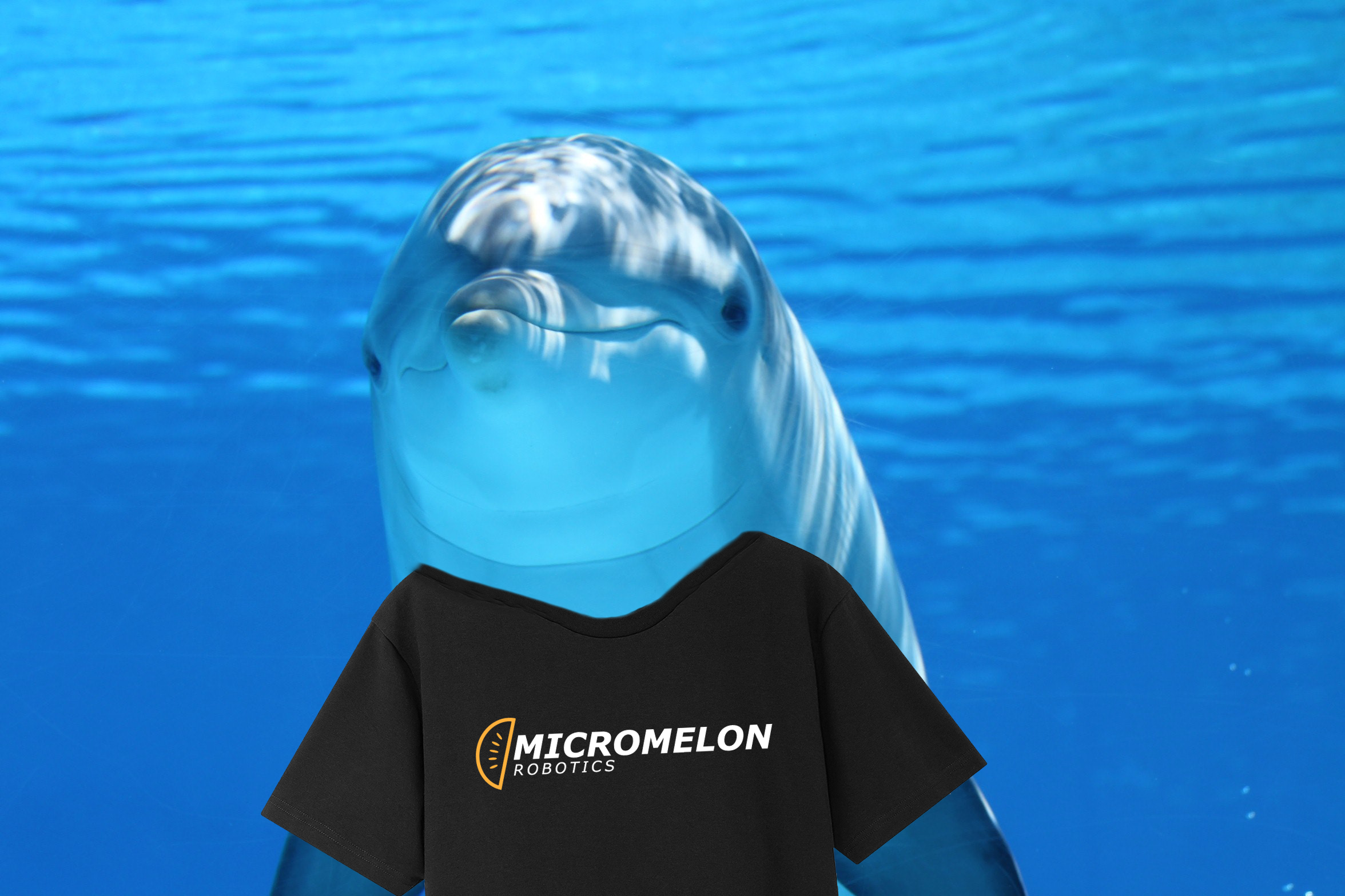 Finley the dolphin works in Micromelon marketing